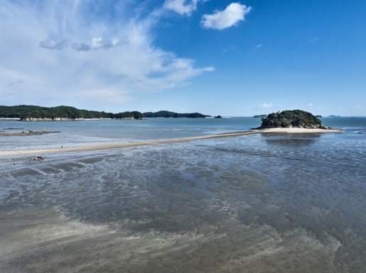 ���� ����4