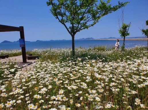 ���� ����5