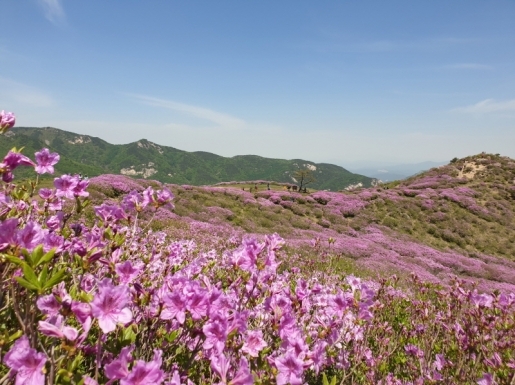 ���� ����3