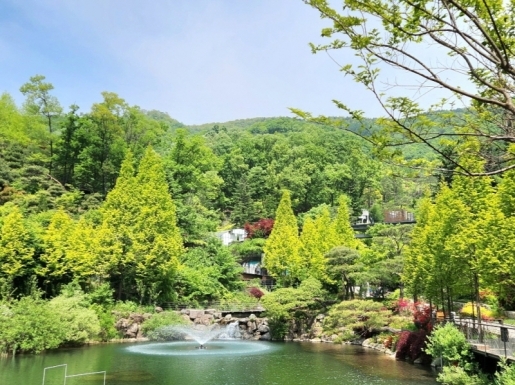 ���� ����2