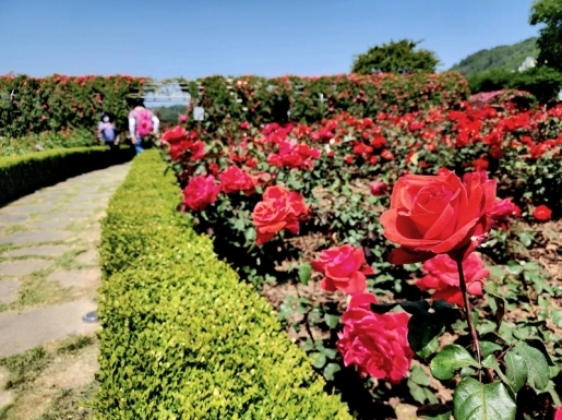 ���� ����2