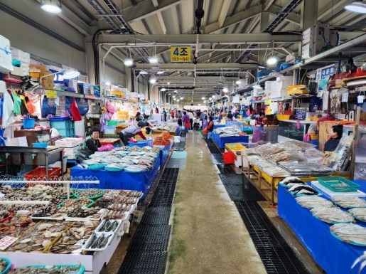 ���� ����5