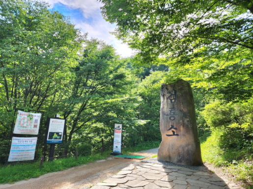 ���� ����6