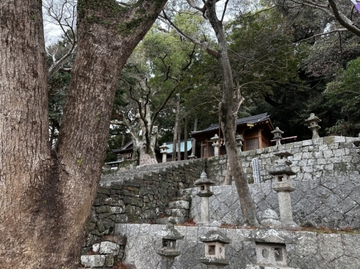 ���� ����6