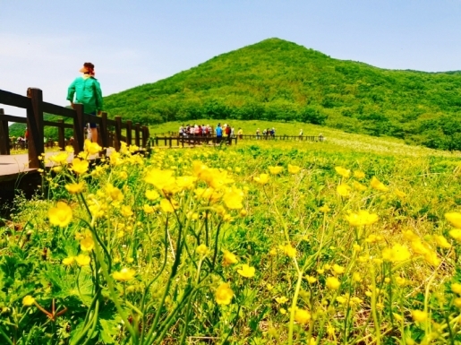 ���� ����1