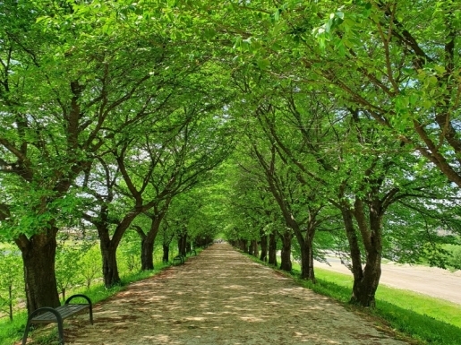 ���� ����3