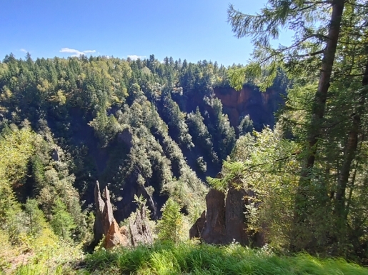 ���� ����6