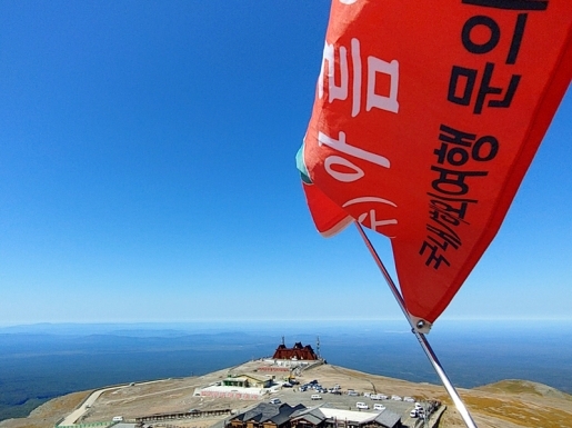 ���� ����7