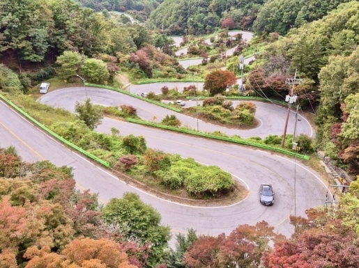 ���� ����7