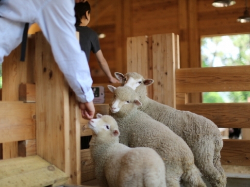 ���� ����5