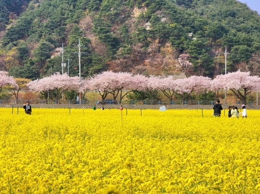 ���� ����3