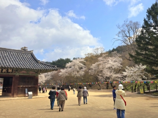 ���� ����5