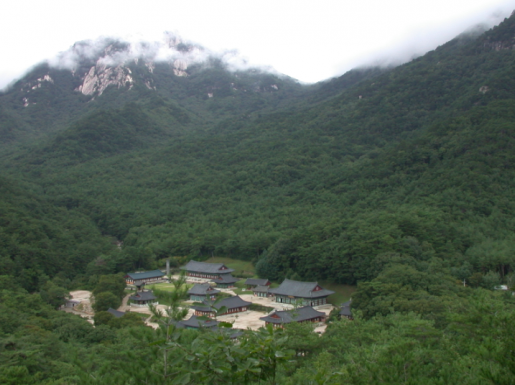 ���� ����3