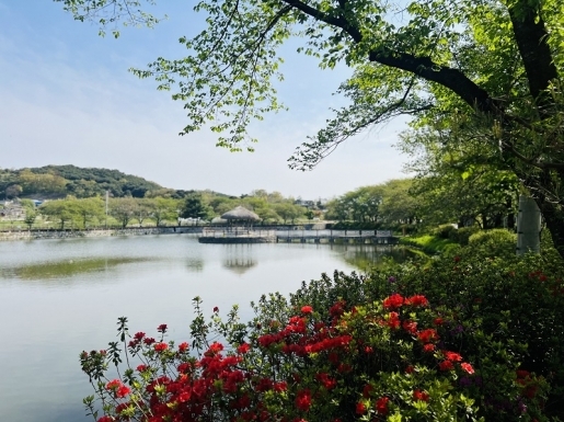 ���� ����6