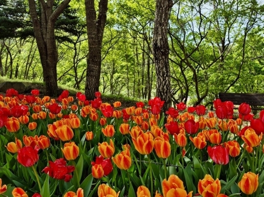 ���� ����4