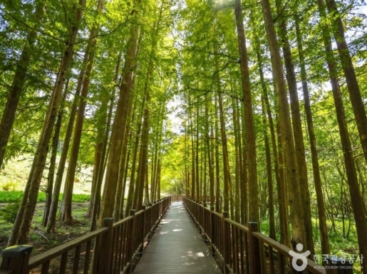 ���� ����3