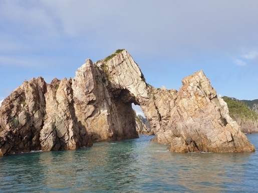 ���� ����3