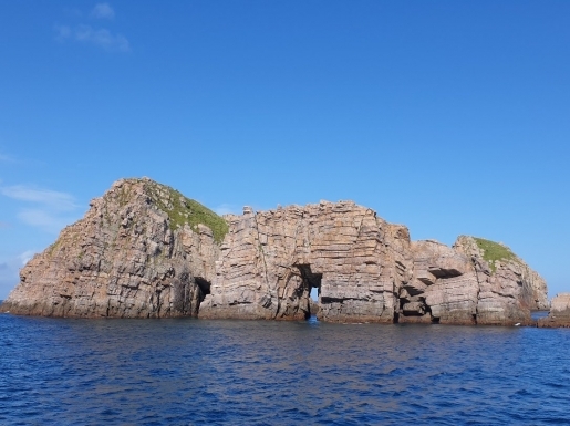 ���� ����5