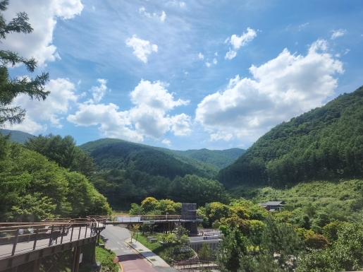 ���� ����4