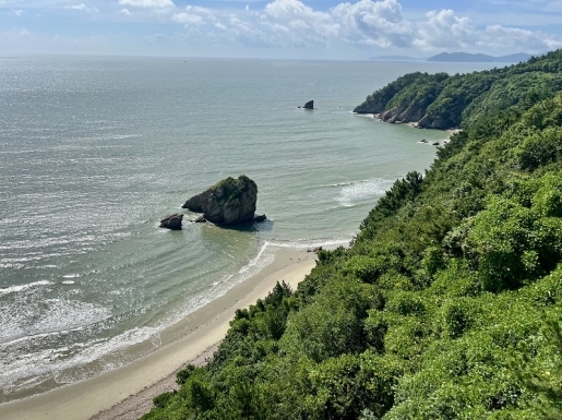 ���� ����2