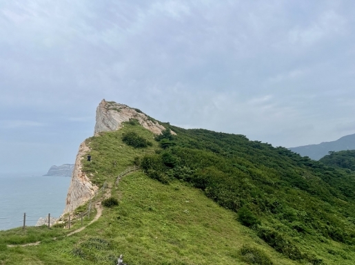 ���� ����3