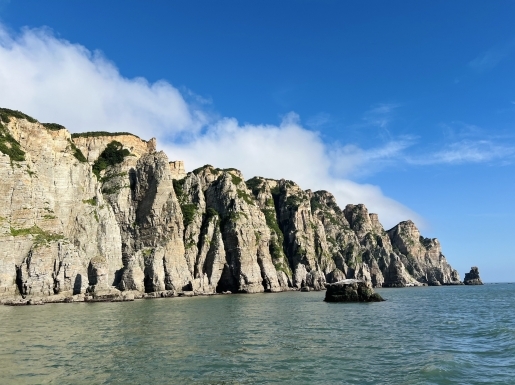 ���� ����2