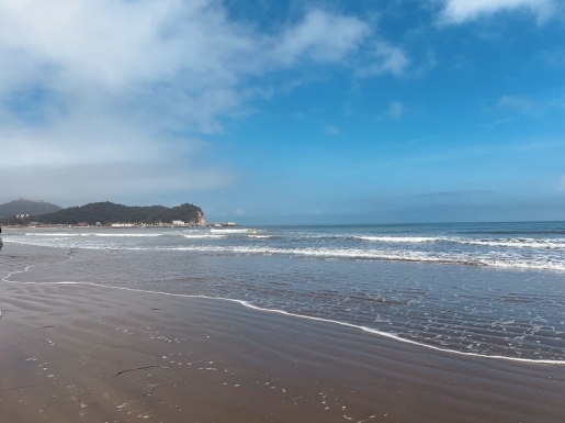 ���� ����6