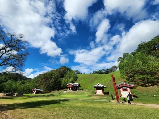 ���� ����5