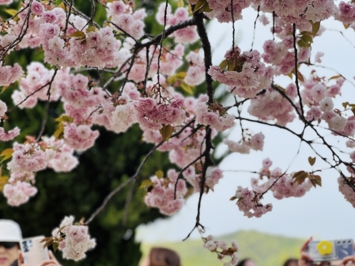 ���� ����2