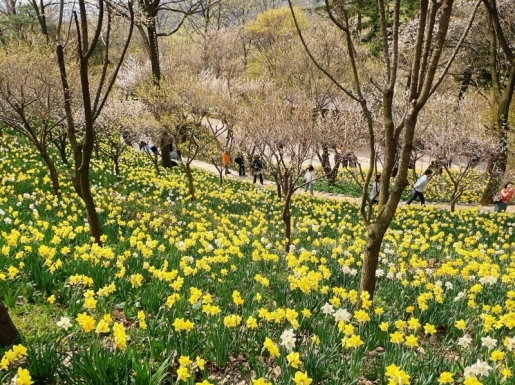 ���� ����5