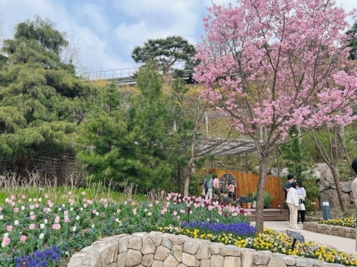 ���� ����7