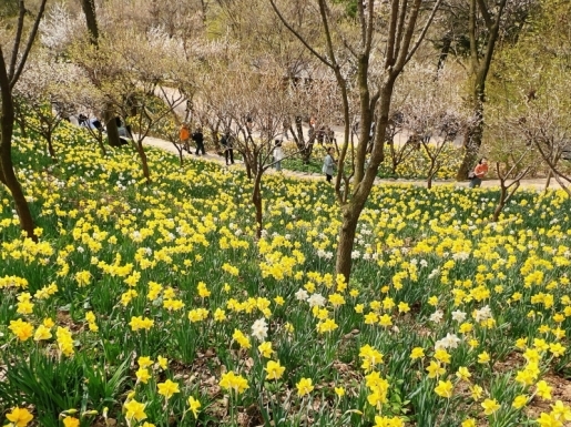 ���� ����4