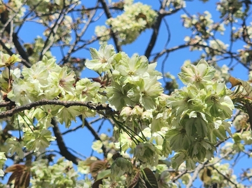 ���� ����2